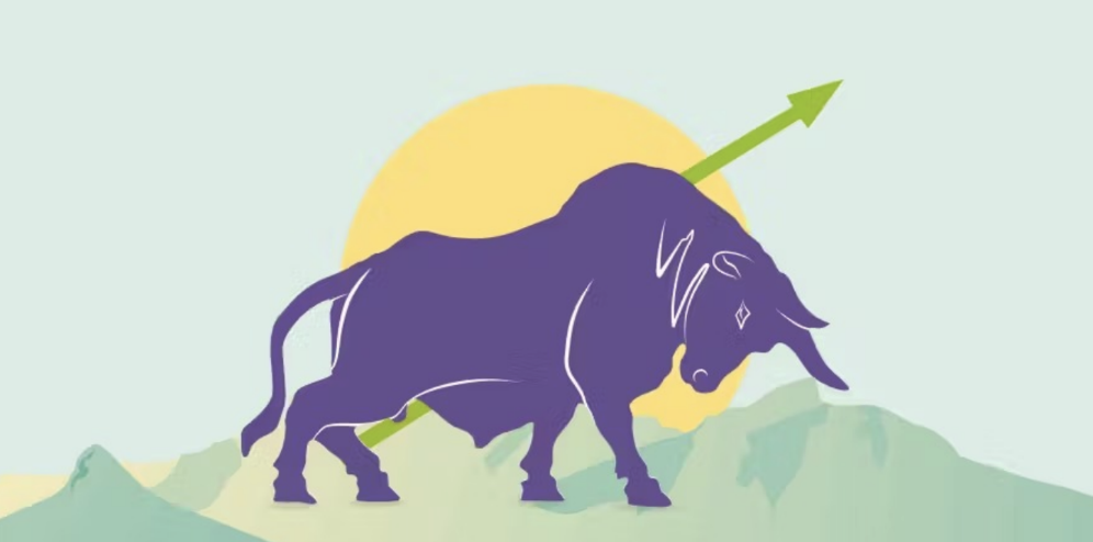 What is a Crypto Bull Market?