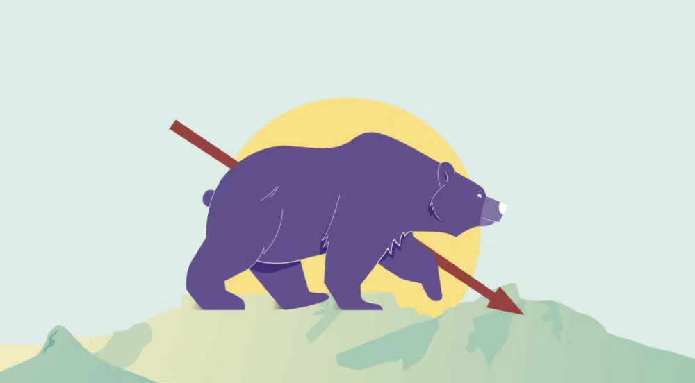 What is a Crypto Bear Market?