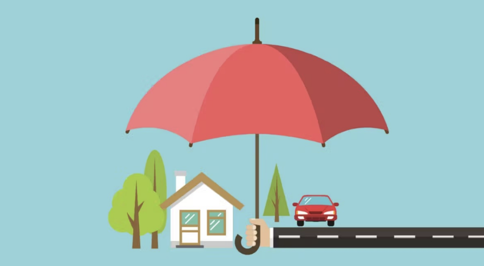 Insurance For Beginners