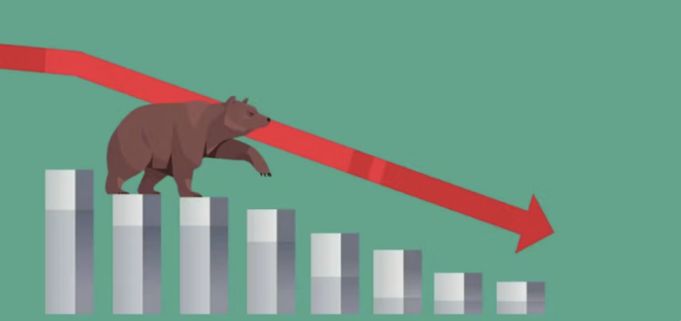 How To Survive a Crypto Bear Market