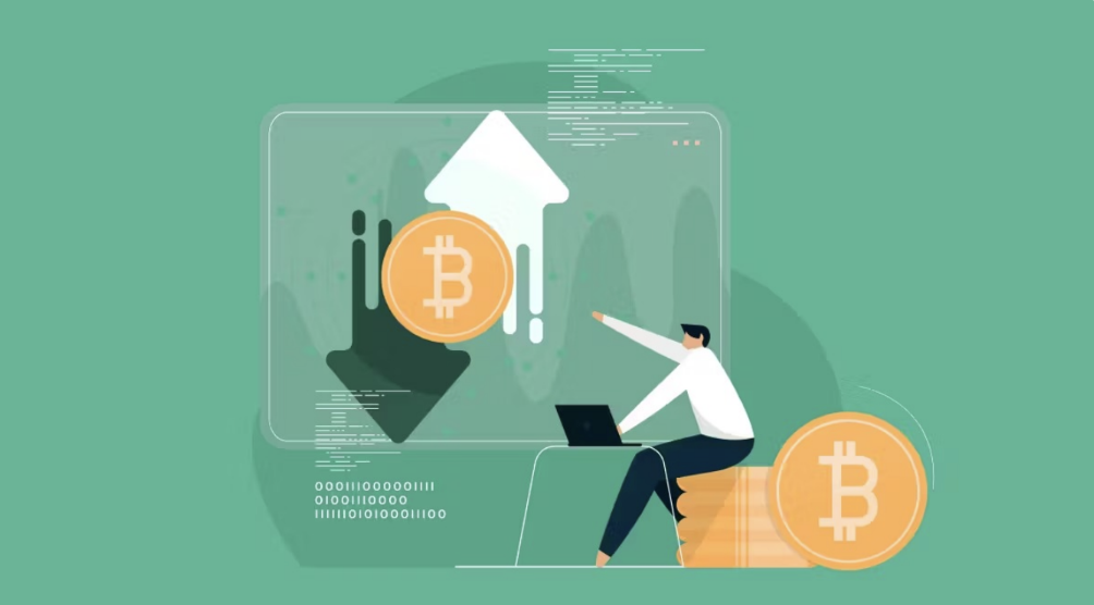 How Bitcoin Transactions Work